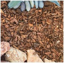 Medium Nugget Bark