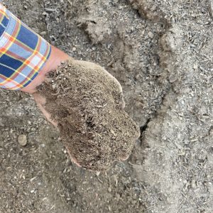 50/50 Planter Mix