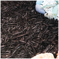Brown Dyed Chips